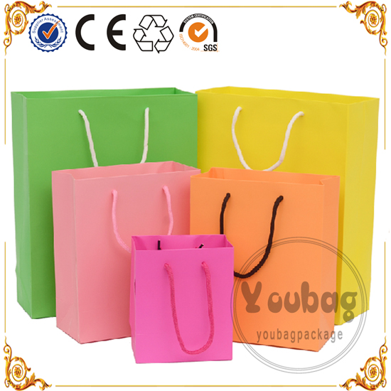 New Luxury Shopping Paper Bag for Cloth