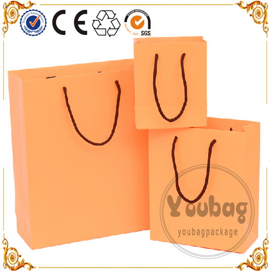 New Luxury Shopping Paper Bag for Cloth