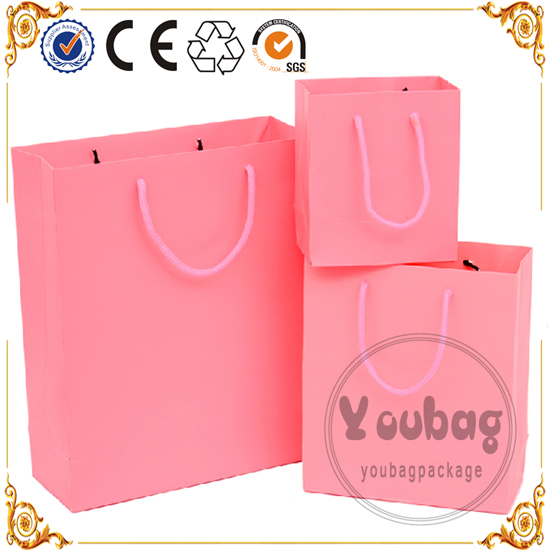 New Luxury Shopping Paper Bag for Cloth