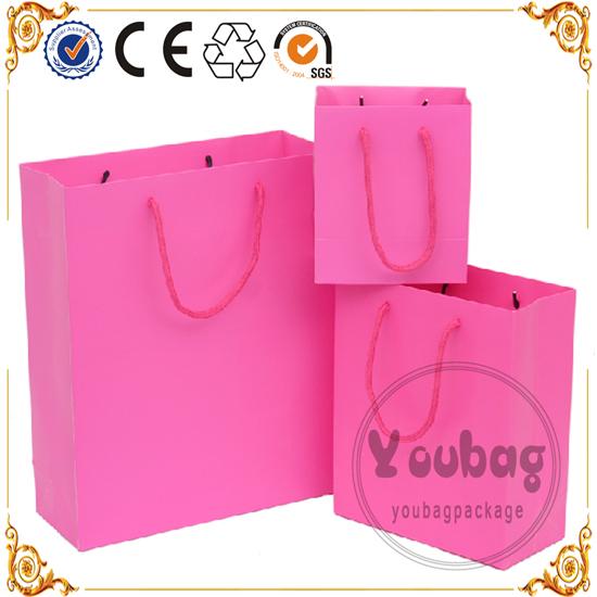 New Luxury Shopping Paper Bag for Cloth